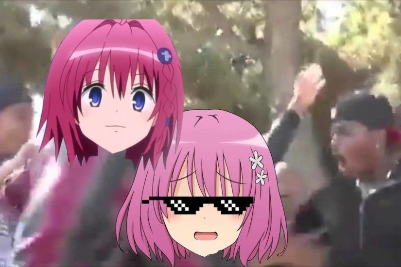 Momo deal with it| To Love Ru Anime on crack