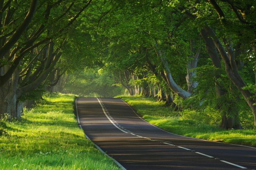 images of a beautiful empty highway | Beautiful Road Wallpaper HD (83)