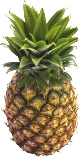 Pineapple #16