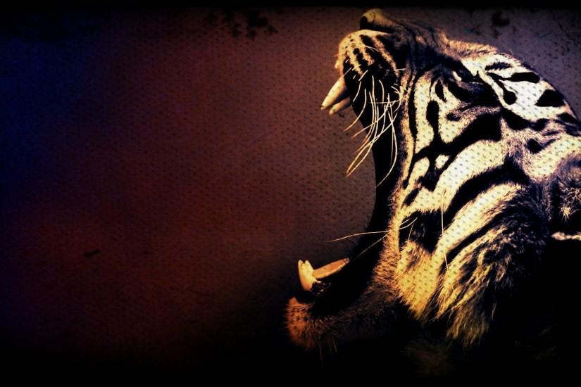 tiger wallpaper 1920x1080 for phone
