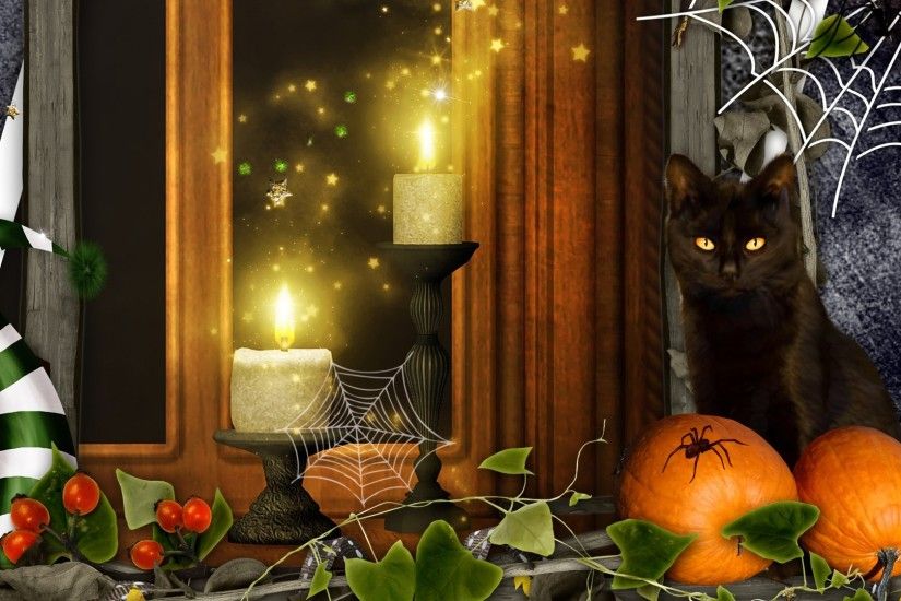 Holiday - Halloween Holiday Collage Cat Pumpkin Candle Spider Web Wallpaper