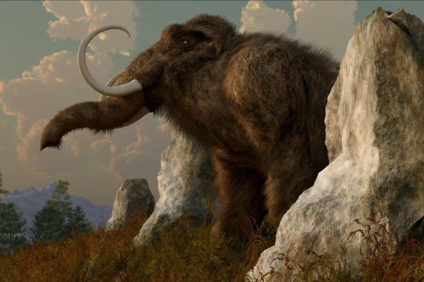 Woolly Mammoth Wallpapers HD