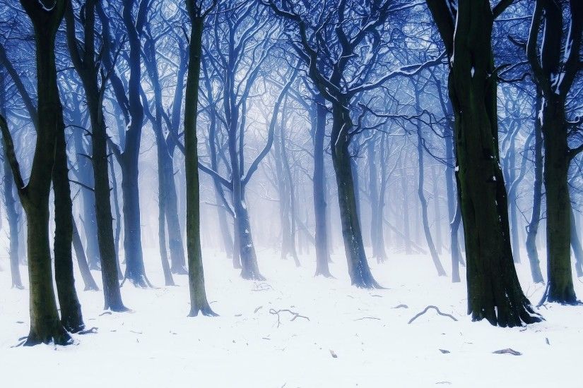 Filename: seasons-winter-trees-fir-snow-nature-wallpaper-1.jpg