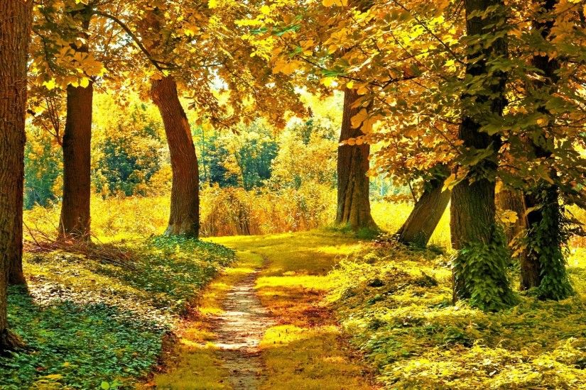 21+ Best HD Autumn Landscape Wallpapers | feelgrPH