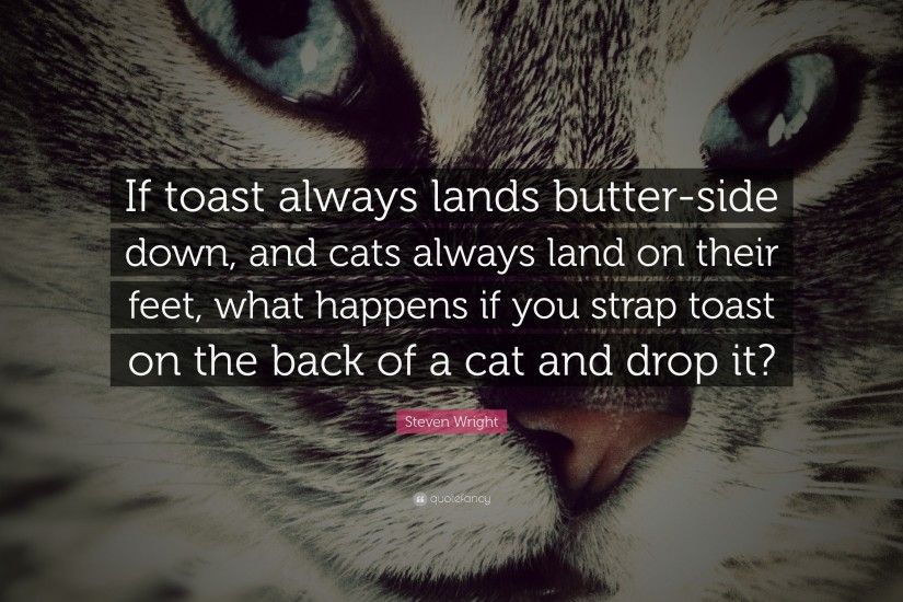 Funny Quotes: “If toast always lands butter-side down, and cats always