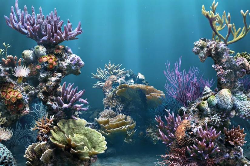 HD Aquarium Backgrounds 1080p