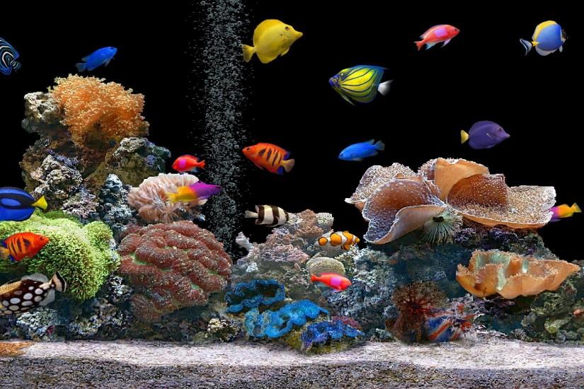 Aquarium wallpaper - 120085