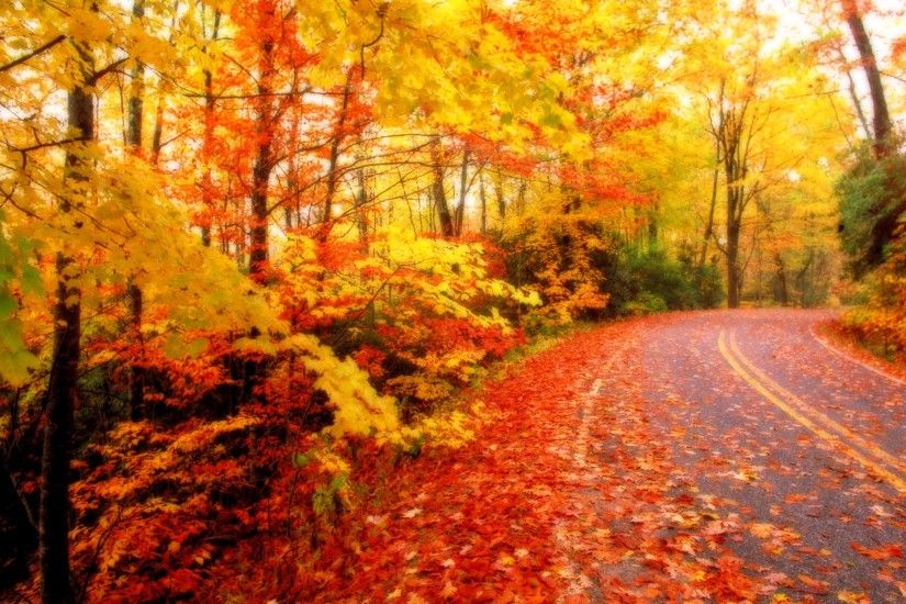 Wallpapers For > Autumn Leaves Desktop Backgrounds