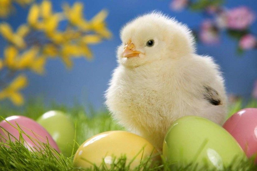 Easter Wallpapers HD Backgrounds, Images, Pics, Photos Free .