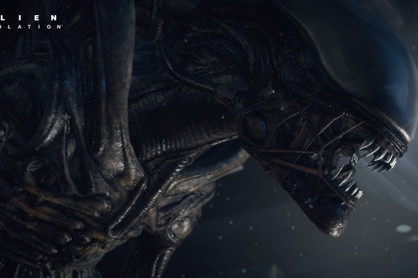 Alien Isolation Xenomorph Alien Isolation Xenomorph Alien Isolation  Xenomorph Alien Isolation Xenomorph Video Games .