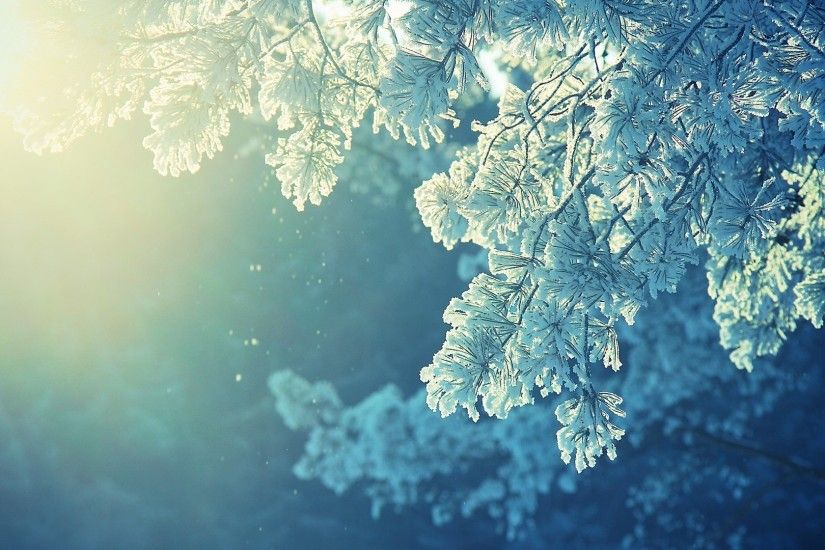 anime, Nature, Snow, Winter, Cold, Sunlight, Peaceful