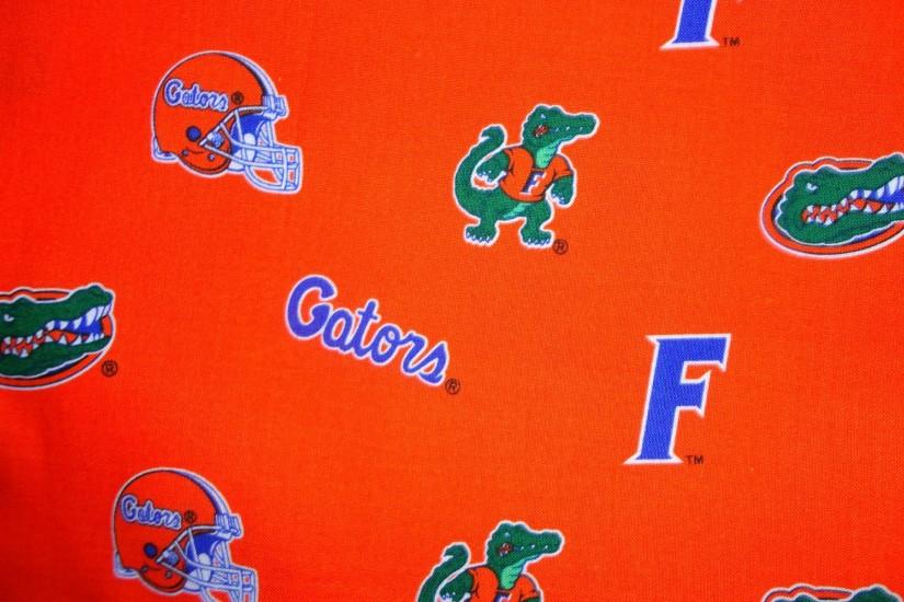 FLORIDA GATORS college football wallpaper | 1920x1440 | 595513 .