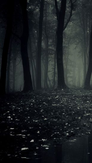  Dark  Forest Wallpapers    WallpaperTag