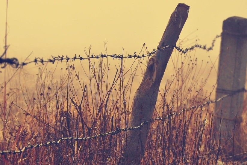 Barbed Wire Fence Wallpaper 7518