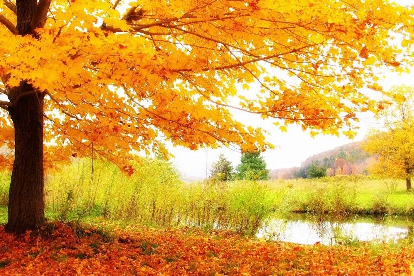 Wallpapers For > Beautiful Fall Scenery Background