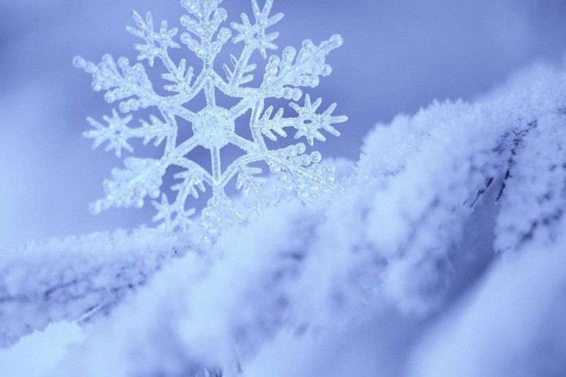 ... Snowflakes [3] wallpaper - Photography wallpapers - #10358 ...