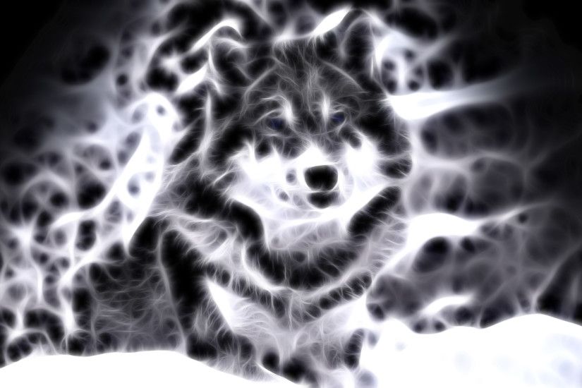 lightanimals | Cool Animal Wallpaper Light Wolf Wallpapers For gt Cool  Animal