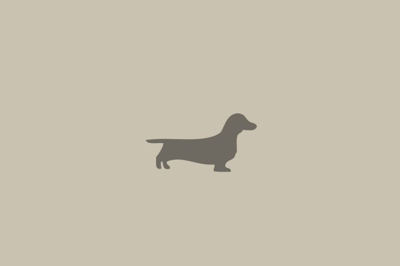 Preview wallpaper dachshund, dog, minimalism, animal 2560x1440