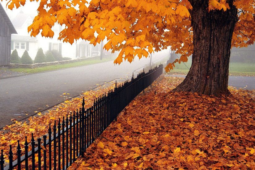 Beautiful Autumn Wallpapers autumn image. autumn images