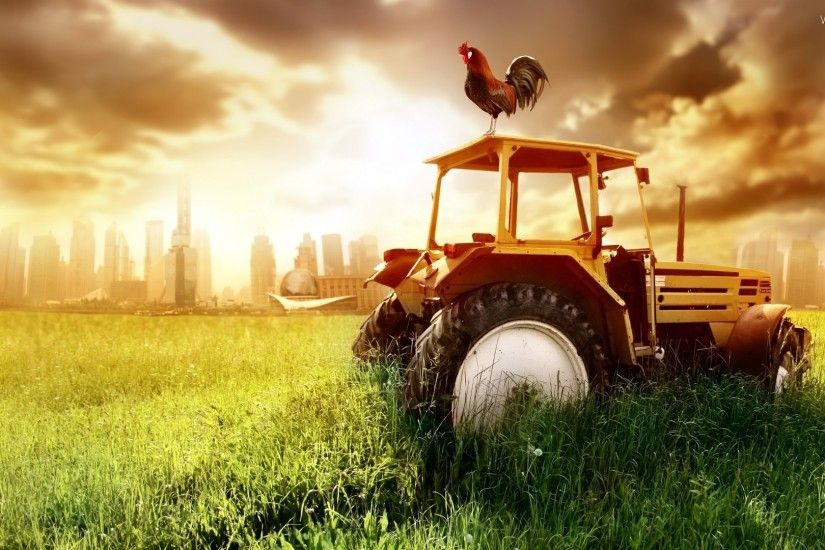 rooster, agrimotor, west, sun