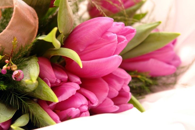 goog smells, colourful, pink, bouquet,Beautiful Flower Wallpapers, flower  field, love,flowers, flowers, flower wallpaper hd, tulips_2560x1600  Wallpaper HD