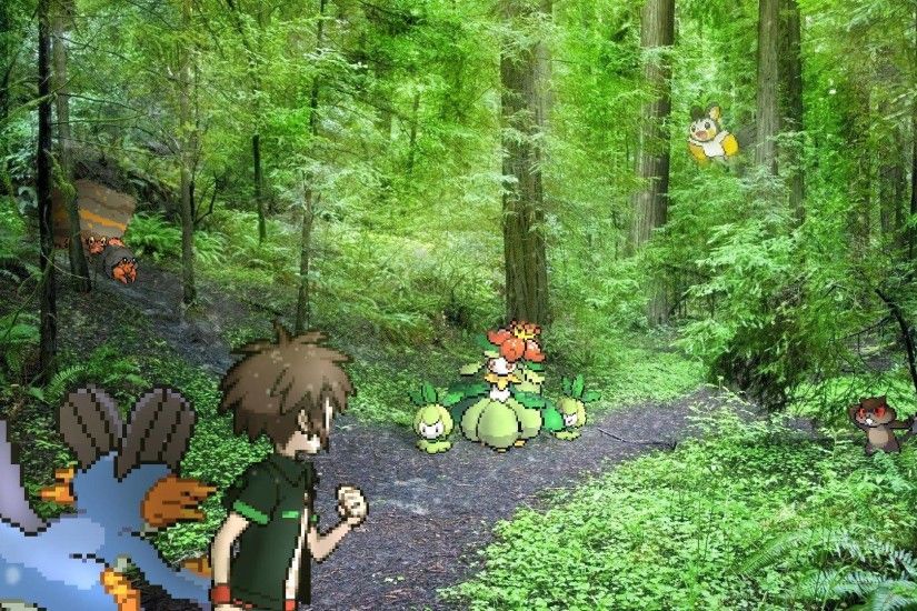 A hassle in the PokÃ©mon Forest ...