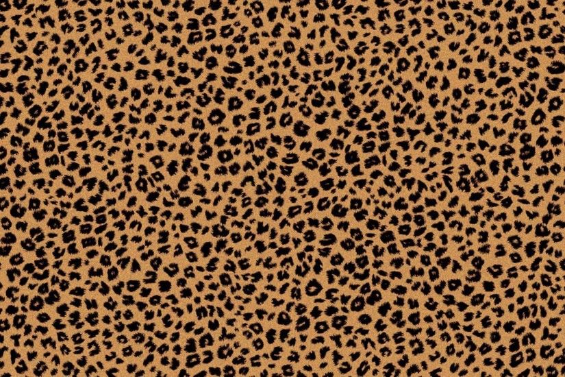 Cheetah, background, wallpaper, wallpapers, backgrounds - 652837