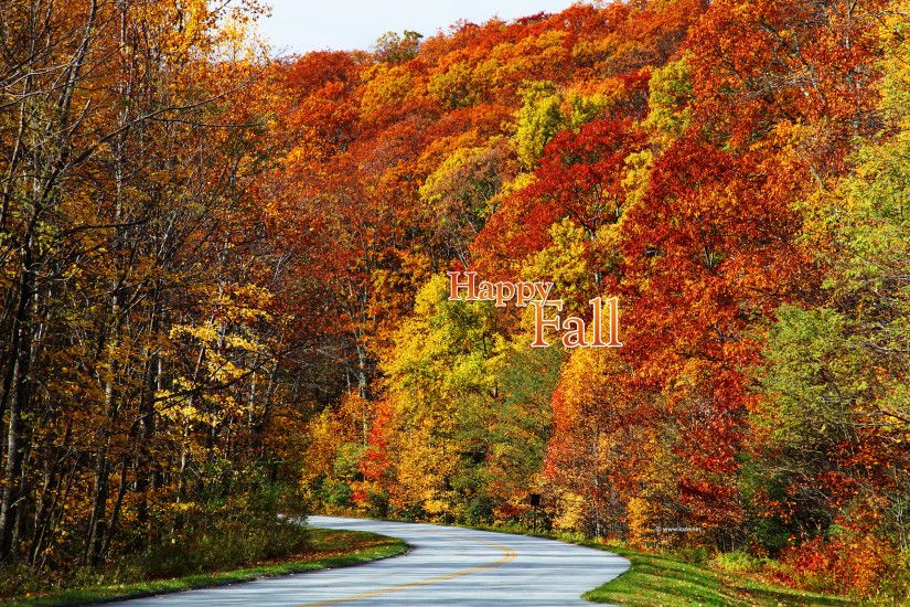 ... Fall Foliage Backgrounds - WallpaperSafari ...