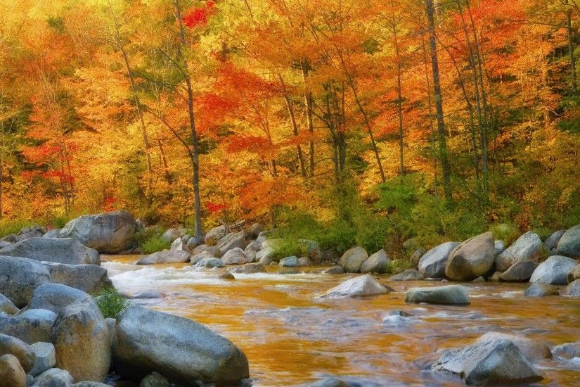 Free Autumn River Photo.