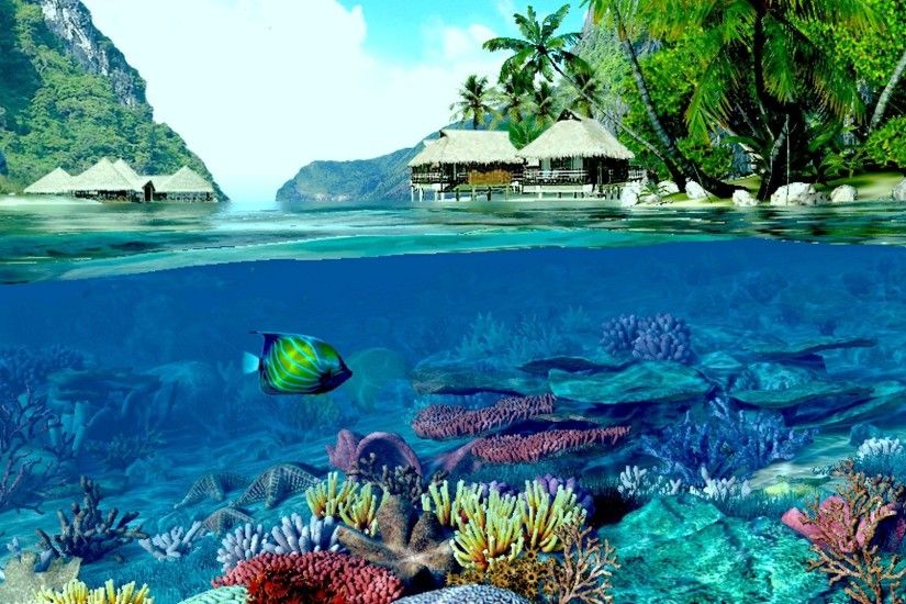 Deep Reef Two Houses Ocean Coral Beach World Indigo Fish Land Worlds Water  Wallpaper For Iphone