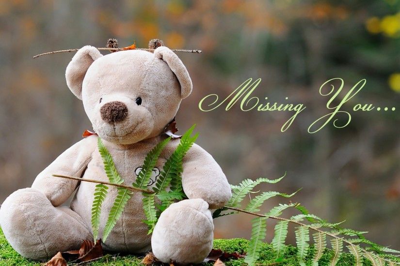 Beautiful Cute Teddy Bear HD Wallpapers For Desktop Backgrounds, Free  Download Teddy Bear Pictures, Cute Child with Teddy Bear Photos, I Love You Teddy  Bear ...