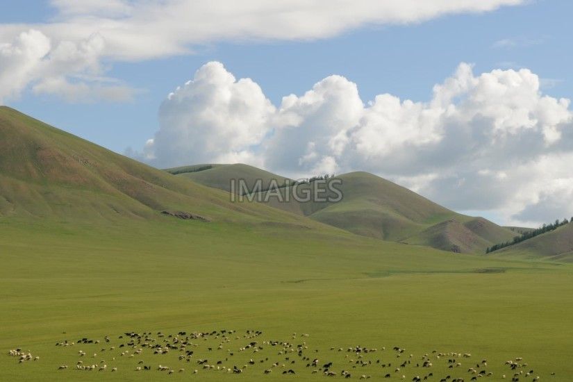 Mongolia, Landscape, Wide, Steppe