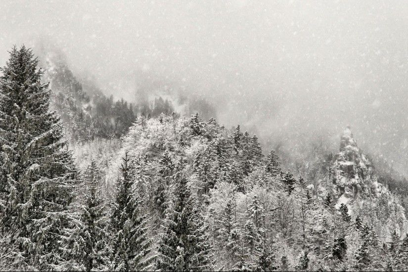 Winter snow mountains fog forest wallpaper | 1920x1080 | 34157 | WallpaperUP