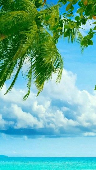 1080x1920 sea tree beach clouds tropical iPhone 6 wallpapers HD - 6 Plus  backgrounds