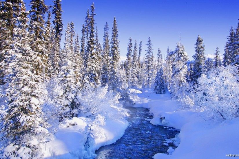 Mountain River in Winter