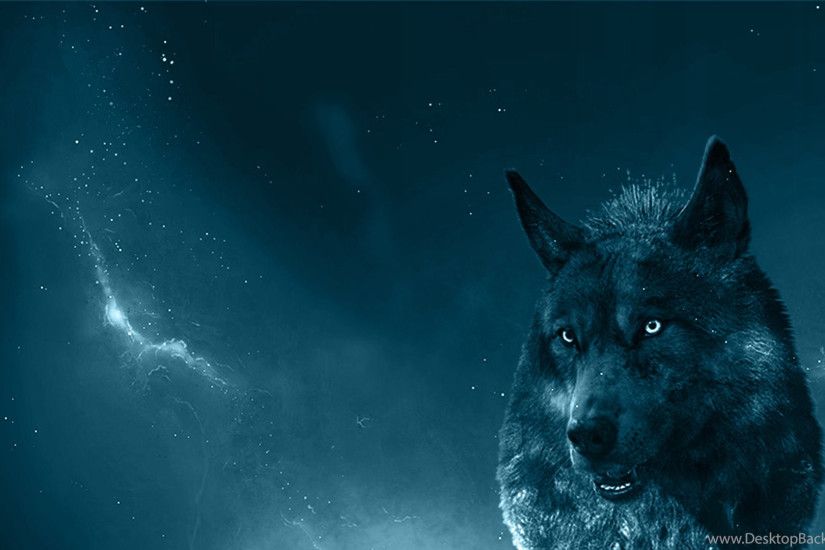 wolf wallpaper download #679977