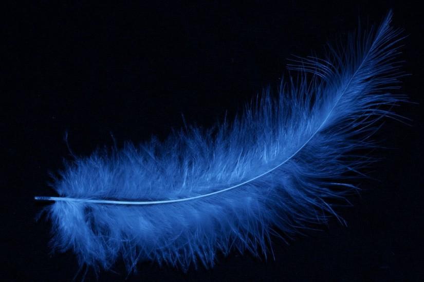 feather blue black background