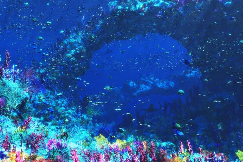 Under Water Wallpapers Wallpaper Underwater Images Wallpapers Wallpapers)