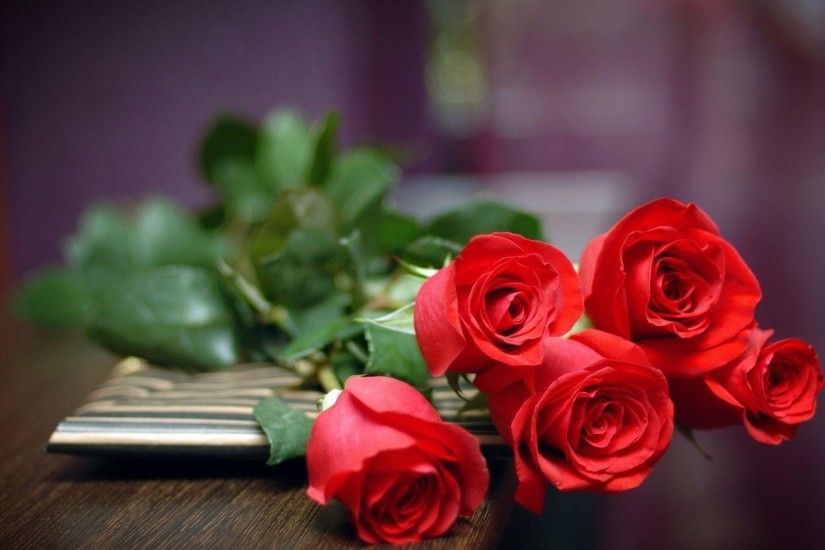 Wallpapers For > Red Rose Wallpaper With Love Quotes Hindi