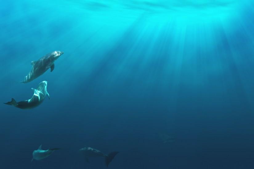 underwater, dolphin, light