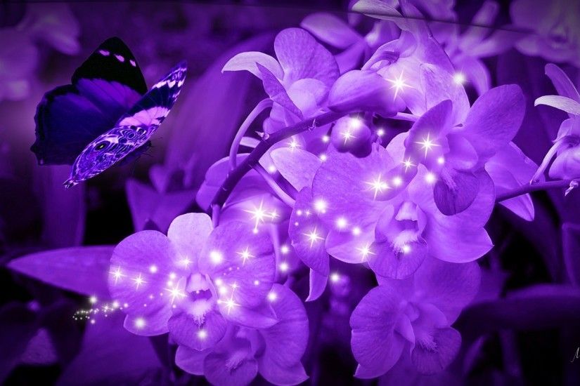 Flowers Bright Sparkle Firefox Theme Lavender Butterflies Persona Orchids  Purple Wallpaper Flower Hd Download