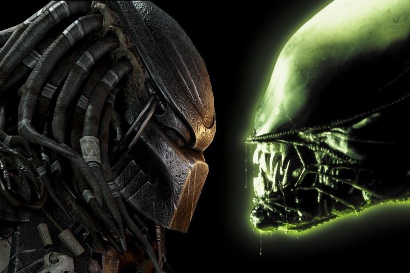 alien vs predator wallpaper hd