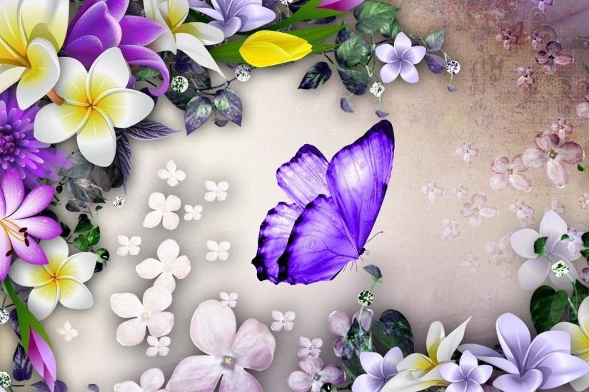 Artistic - Flower White Purple Butterfly Plumeria Artistic Wallpaper