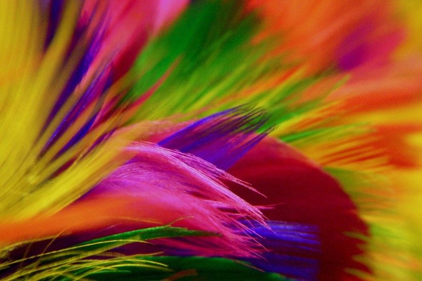 Colorful Abstract Flowers Hd 890399 Wallpaper wallpaper