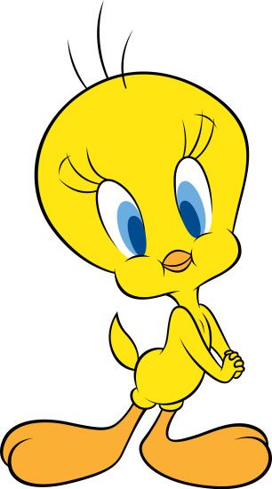 Tweety Bird Bad Boy Middle Finger Looney Tunes Cartoon Kid Jacket .