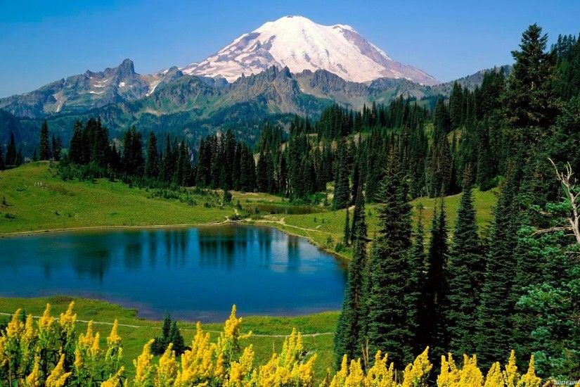 Rainier Tag - Park Nature Mountains Landscapes State National Rainier  Forests Mount Washington Wallpaper For Desktop