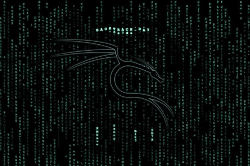 Computer virus anarchy hacker hacking internet sadic wallpaper | 2560x1440  | 455430 | WallpaperUP