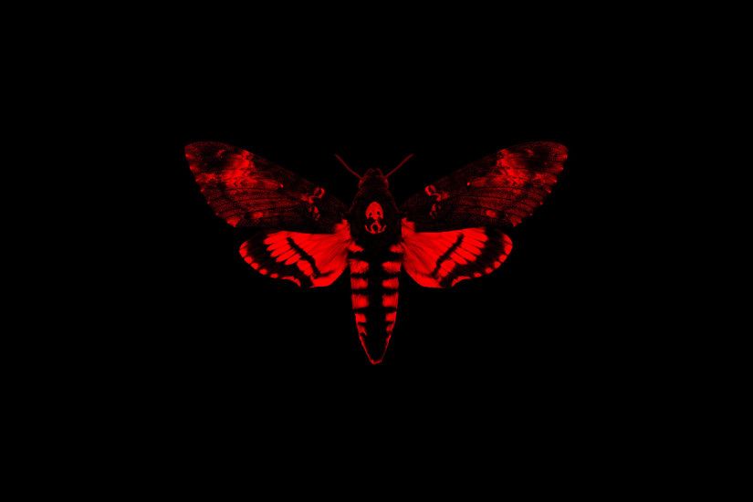 Death Head Hawk Moth (Lil Wayne Album Art). #Followme #CooliPhone6Case on