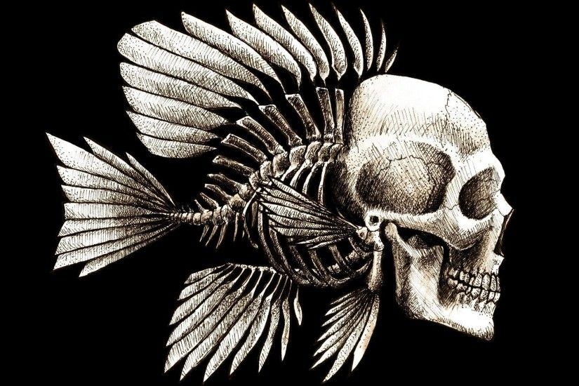 Artwork Bones Charles Darwin Fish Funny Seaman Skulls