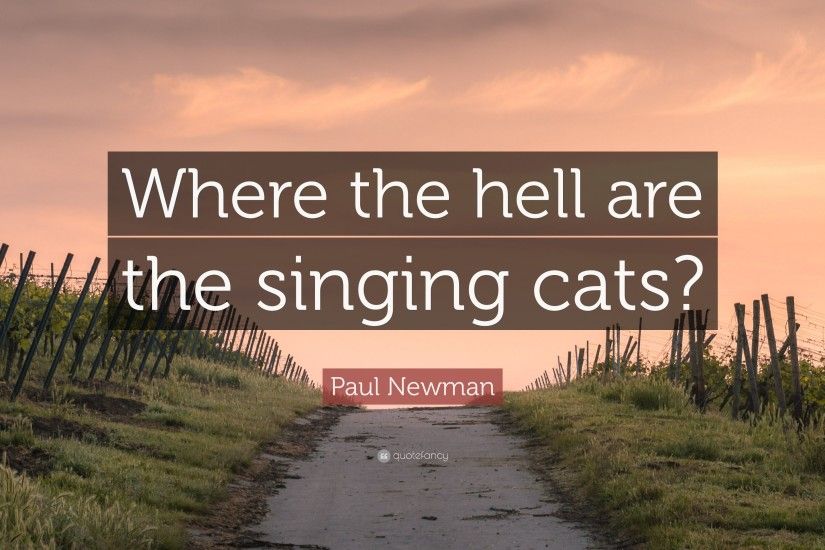Paul Newman Quote: “Where the hell are the singing cats?”